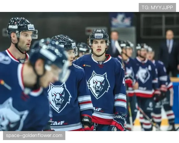 通讯:伤病潮下的逆袭——迈阿密热火再次以东部第七身份闯入季后赛 通讯:伤病潮下的逆袭——迈阿密热火再次以东部第七身份闯入季后赛